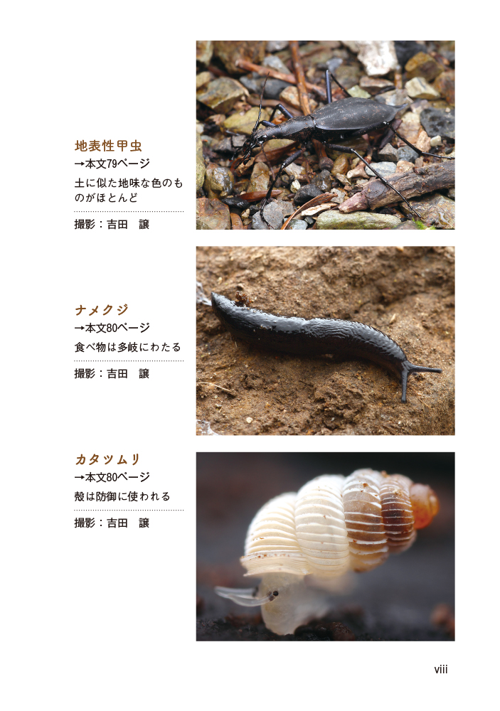 「はたらく土の虫」